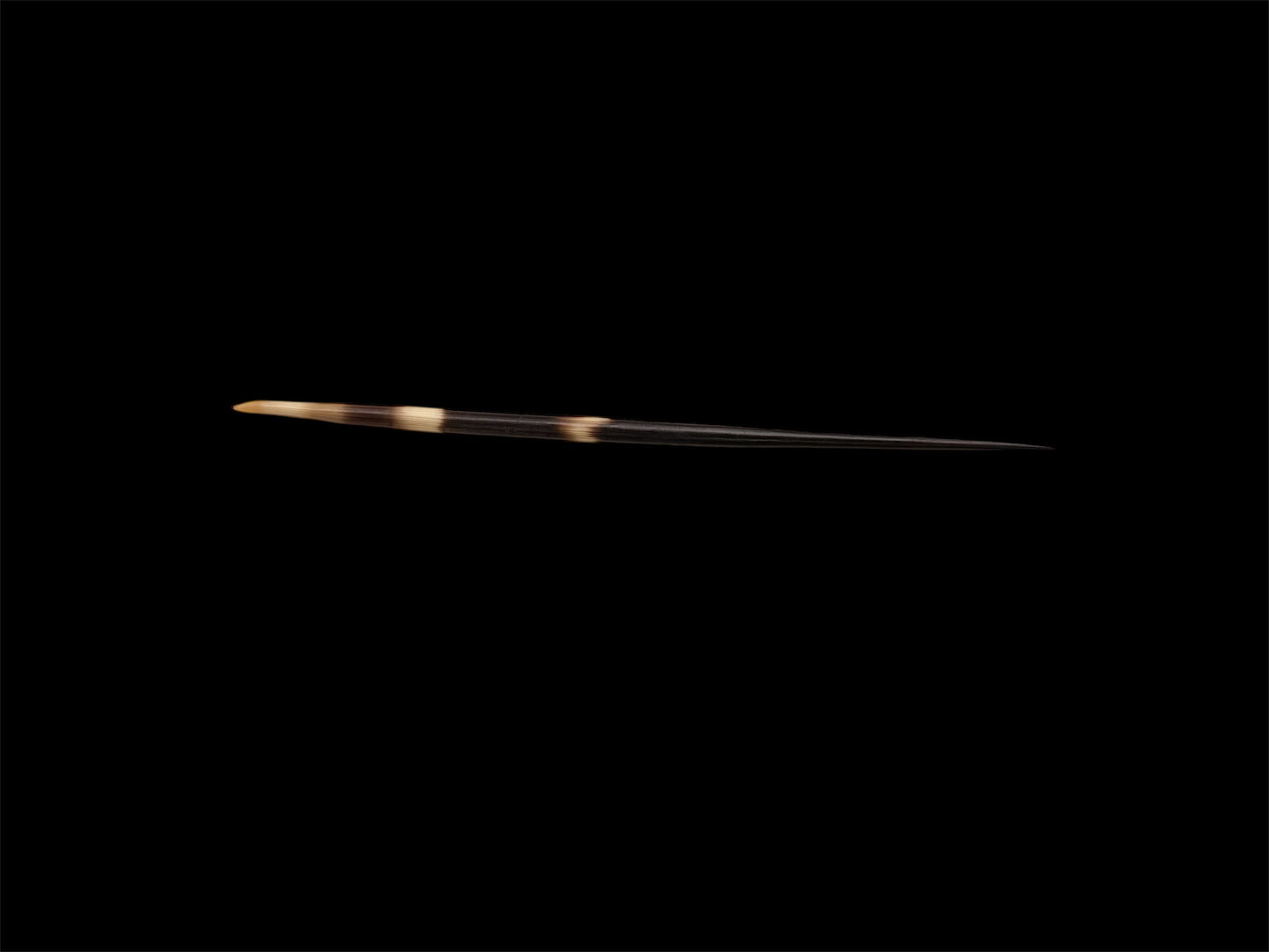 Natural Porcupine Quill Hair Stick