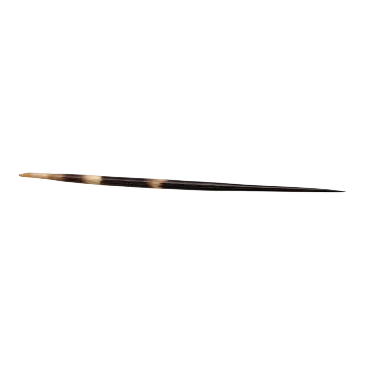 Natural Porcupine Quill Hair Stick