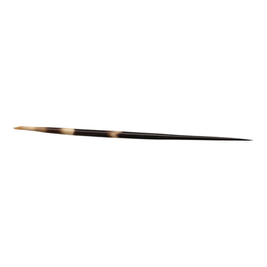 Natural Porcupine Quill Hair Stick