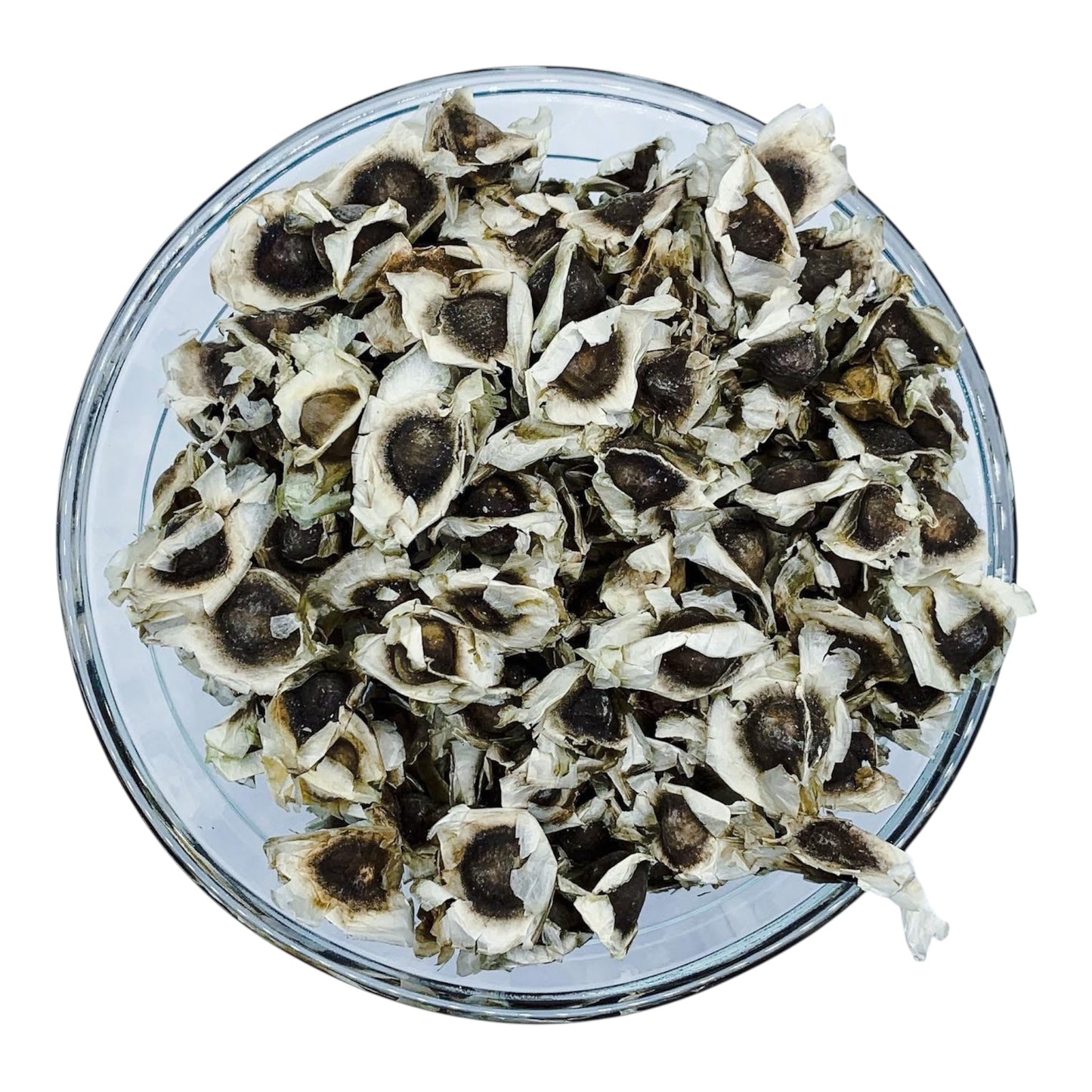 Organic Moringa Seeds 250g