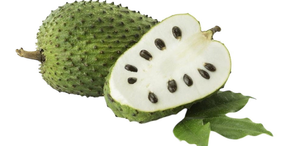 Soursop Leaves (Dried) 50g
